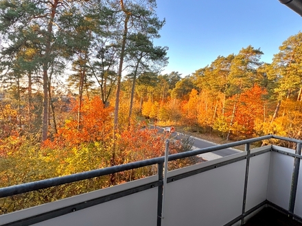 Naturzauber am Fenster: Lichtdurchflutete Eigentumswohnung mit idyllischem Panoramablick