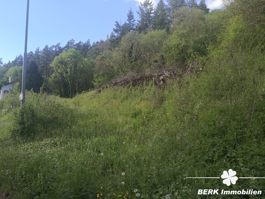 BERK Immobilien – Naturnahes sonniges Baugrundstück – Platz für zwei Wohnhäuser in Rippberg/Walldürn