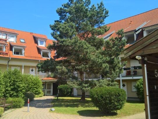 Ebersbach, 2 ZKB, 71 m2, Barrierefrei, Balkon, Südlage, EBK, Kfz Stellplatz, Lift