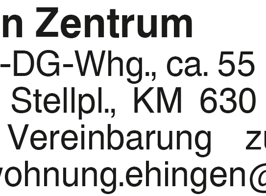 Ehingen Zentrum