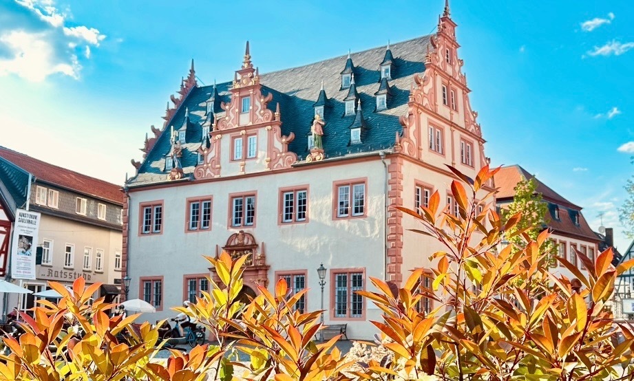 Ein Projekt für Liebhaber im Herzen von Groß-Umstadt – 64823 Groß-Umstadt, 64823 Groß-Umstadt – Vorschaubild 18
