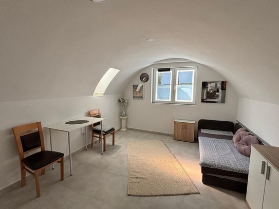 1-Zimmerwohnung mit Internet, TV, Küchenzeile, Dusche/Wc, Waschmaschine