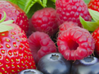Beeren selbst anbauen - Tipps für Erdbeeren, Himbeeren und Co. 