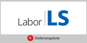 Labor LS SE & Co. KG 