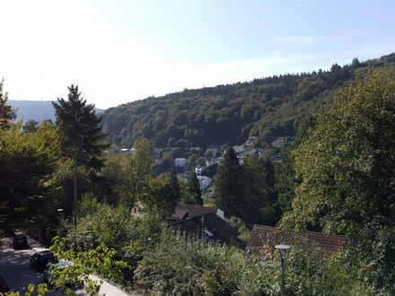 Die Gelegenheit: Hanggrundstück mit Baugenehmigung für ein geplantes Haus in Heidelberg!