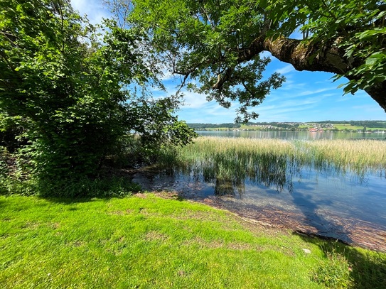 SEEGRUNDSTÜCK MATTSEE / direkt am Obertrumer See im Salzburger Land