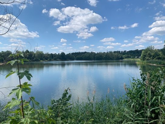 * Seit 1992 IMMO-ZAHN * Idyllisch am See: Freistehendes Haus mit Garten & Garage *