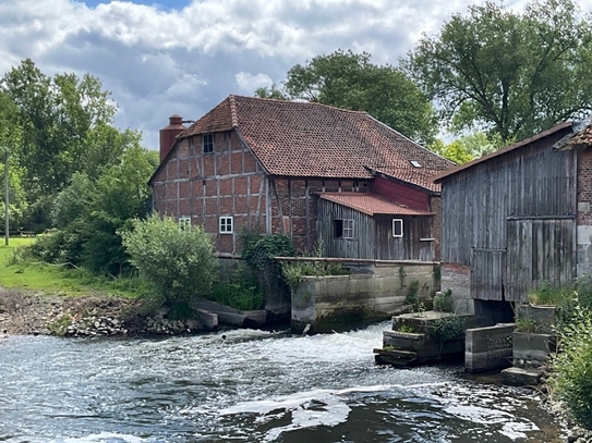 Großzügiges Anwesen an der Oker mit 40.000 m² Grundstück und einem Wasserkraftwerk