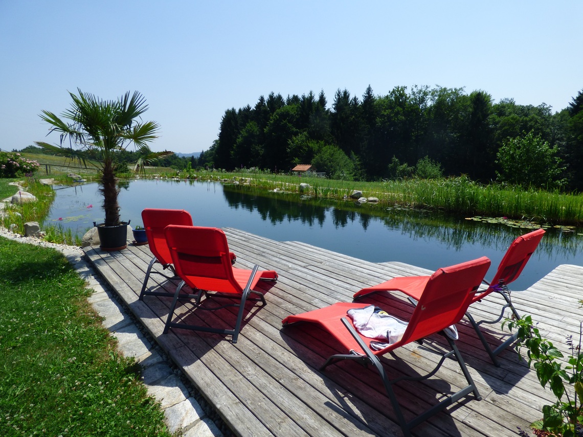 Ein künstlich angelegter Schwimmteich als Naturpool für ihr Grundstück.