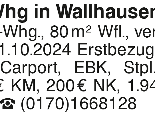 3Zi.-Whg in Wallhausen