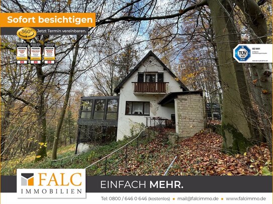 Wochenendhaus: Urlaub im Wald!