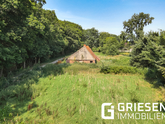 Baugrundstück in Altharen – Perfekt für Ihr Ferienhaus im Grünen! *Provisionsfrei für den Käufer