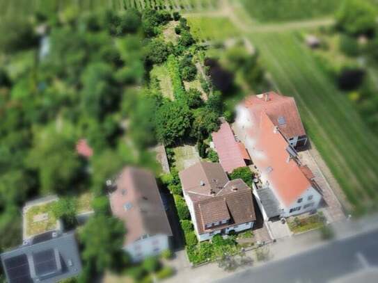 Einfamilienhaus kaufen in Neustadt an der WeinstraßeMußbach immo