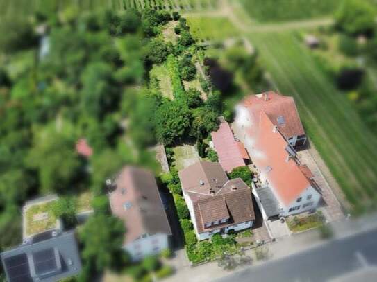 Charmantes Einfamilienhaus mit tollem Grundstück und Bebauungsmöglichkeit in 2.ter Reihe in Neustadt