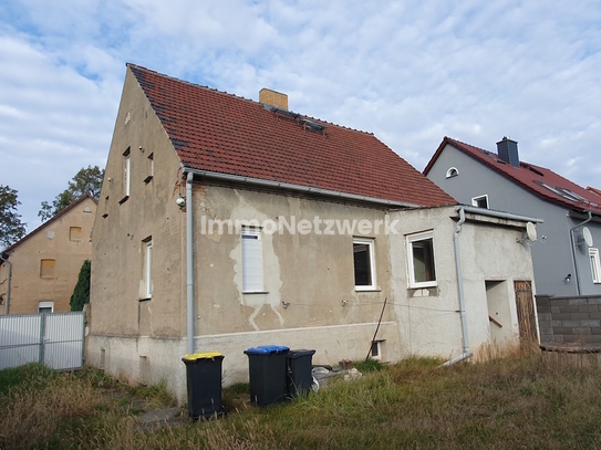 Einfamilienhaus in der Elsteraue zw. Herzberg und Bad Liebenwerda