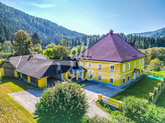 HERRENHAUS mit ca. 7.154 QM Grund in Dürnstein, Steiermark