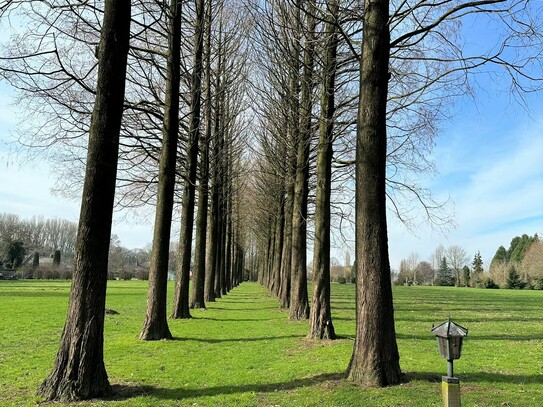 Einmalige Gelegenheit! 2,3 ha bebaubare Grünfläche und Hofstelle ( Resthof ) mit Pferdestall zu verkaufen!