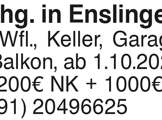 3 Zimmer Wohnung