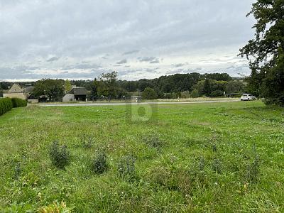 RUHIG GELEGEN MIT BLICK IN DIE FERNE