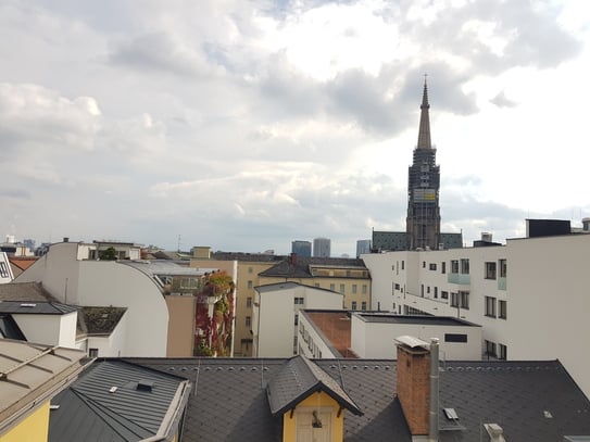 Großzügige 3-Zimmer Maisonette im Linzer Zentrum