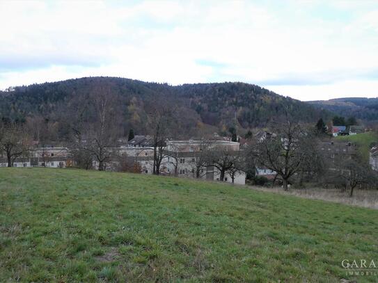 Renovierte Wohlfühlwohnung mit Aussicht!