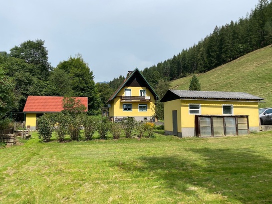 Idyllisches Haus am Fuße der Eisenerzer Alpen (2364)