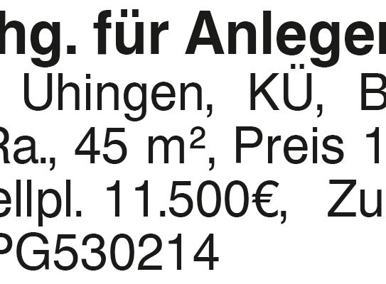 2 Zi.-Whg. für Anleger 1.OG