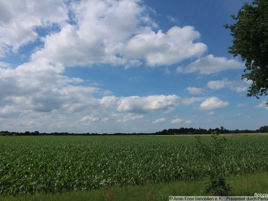 Ca. 8.900 m² Landwirtschaftliche Nutzfläche in der Gemeinde Petersfehn/ Landkreis Ammerland