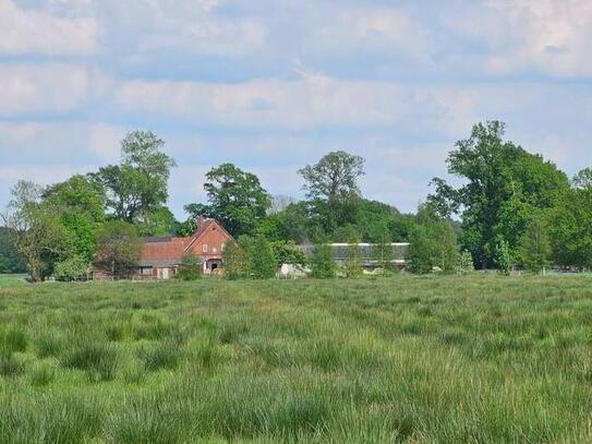 Bauernhof in Offenwarden