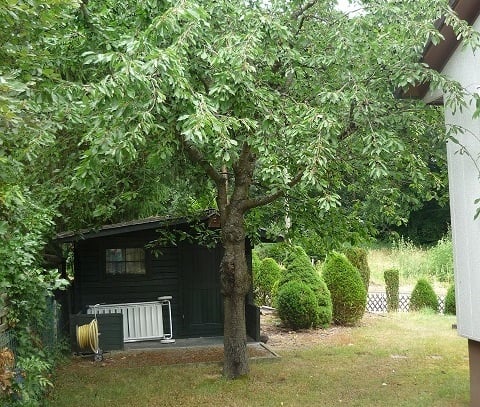 Wie im eigenen Haus: 3 Zimmer Wohnung mit schönem Garten