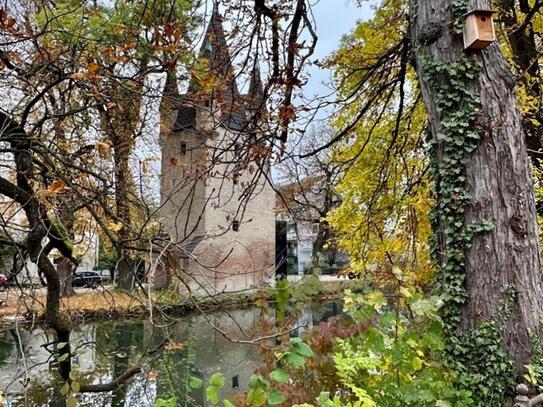 Mitten in der Stadt und doch der Natur so nah!