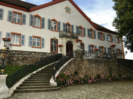 Schlossgastronomie bei beliebtem Ausflugsziel in Südbaden ab November 2024 zu verpachten