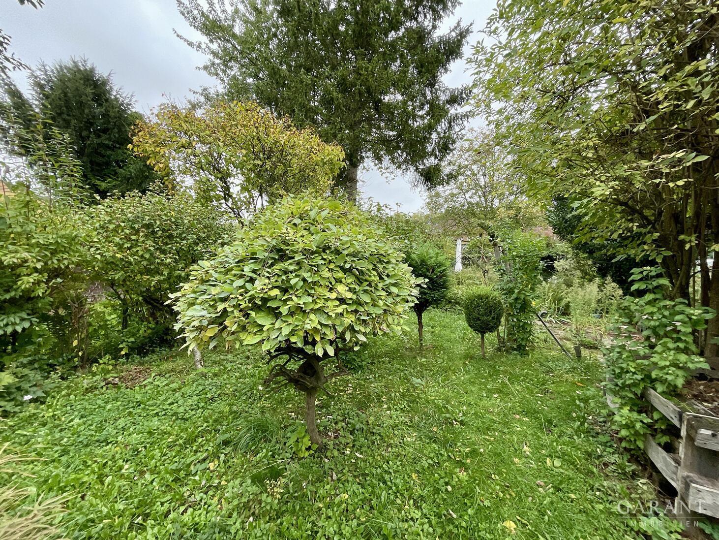 Doppelhaushälfte mit drei Wohneinheiten und Garten in Duisburg – 47226 Duisburg, 47226 Duisburg – Vorschaubild 14