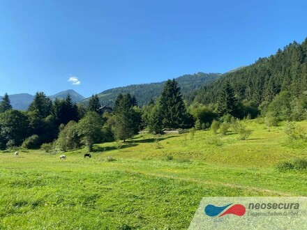 Traumhaftes Bauland neben dem Skigebiet Riesneralm in Donnersbachwald!