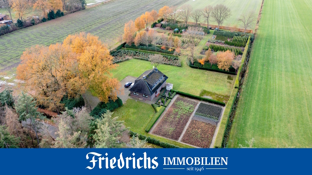 Real Estate Title Image Background