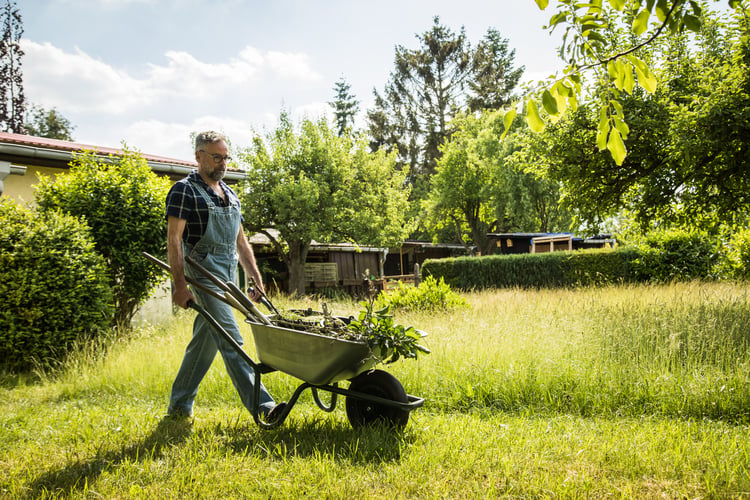 Wohin mit dem Grünschnitt aus dem Garten? Ab in die Hecke!