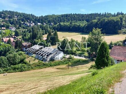 Schönes Baugrundstück in Sasbachwalden