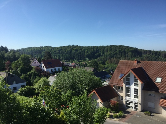 Traumausblick Südhang Oerlinghausen 3 ZKBB mit TG-Platz