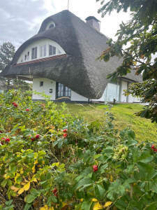 Wohnen unter Reet - markantes, freistehendes Einfamilienhaus in Archsum