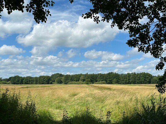 Ihr Stück Natur - Grünland zum Verkauf!