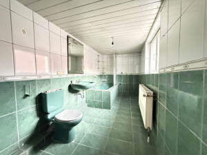 Charmante Hofreite mit zahlreichen Möglichkeiten bestehend aus großem Wohnhaus, Nebengebäude und Scheune – 55294 Bodenheim, 55294 Bodenheim – Vorschaubild 7