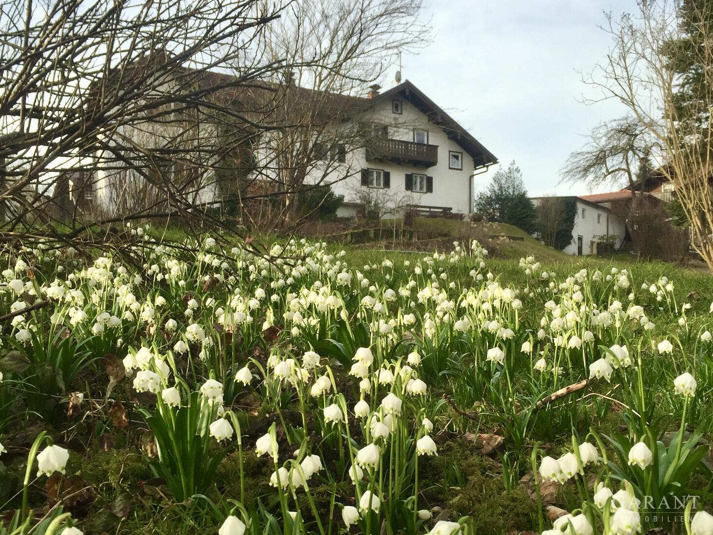 Naturrefugium in Großweil - Doppelhaushälfte mit großem Garten, Fischweiher & Bachlauf – 82439 Großweil, 82439 Großweil – Vorschaubild 13