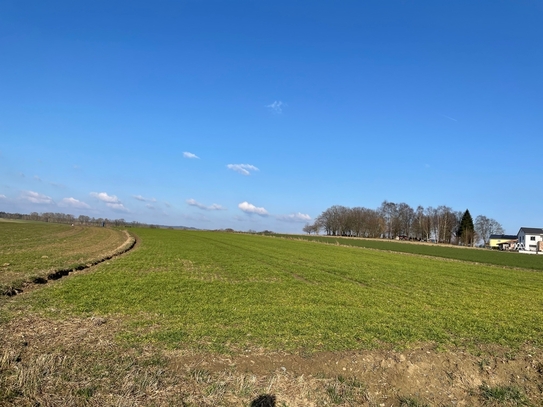 Ackerland Nähe Lindenweg - gute Zufahrt - Tirschenreuth