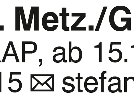 3-Zi.-Whg. Metz./Glems