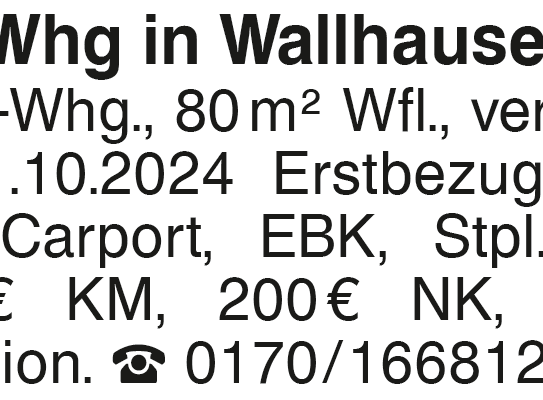 3-Zi.-Whg in Wallhausen