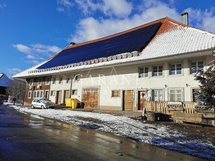 Stark renovierungsbedürftiges, denkmalgeschütztes Bauernhaus mit großem Grundstück