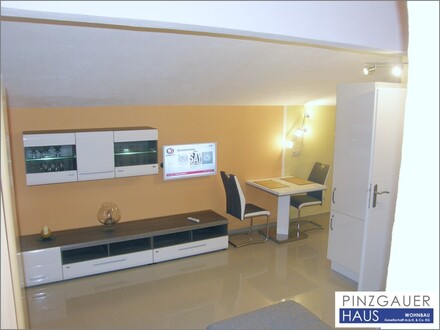 Kleine Single-Wohnung in ruhiger und sonniger Lage in einem Privathaus in Abtenau - 24 m²