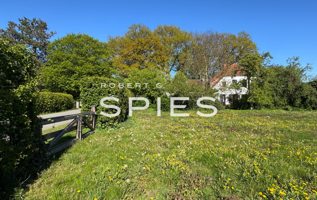 Real Estate Title Image Background
