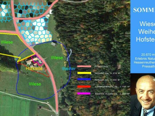 Landwirtschaftliche Fläche Naturpark Hessenreuther Wald