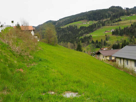 Projektiertes Grundstück in idyllischer Lage am Hochkönig